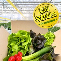 로메인 통로메인 로메인상추 특수야채 모듬쌈채소 2kg, 단품