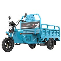 농업용 전동차 전기차 3발 삼륜 시골 운반 화물 운송, 1.3X0.9m 격실 45A