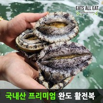 이츠올릿 국내 완도 활 전복 50-55미 1kg 키트 자연산 전복 선물 세트 기장 제주