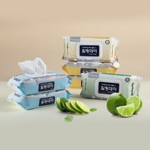 힐링데이 프리미엄 빅사이즈 대형 물티슈 일반 플레인 캡형 60매, 10팩