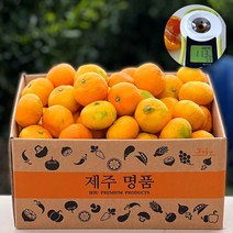 [제주 산지직송] 당도선별 고당도 프리미엄 하우스귤 감귤 당도보장 못난이 가정용 선물용 제주도귤, b. 하우스귤 2kg 로얄과 (14/24과)