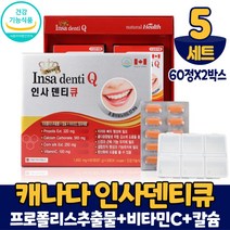 캐나다 인사덴티큐 120정 프로폴리스 추출물 칼슘 비타민C 치아 건강 도움 영양제 대용량, 5개, 120정+알약케이스증정