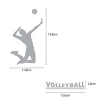 오피스왕국 배구 volleyball1 스포츠 그래픽 스티커, 코코아브라운