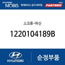 스크류-머신 (1220104189B) 에쿠스 뉴 슈퍼 에어로 시티 E카운티 E에어로타운 글로벌900/그린시티
