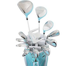 358 일본 월드이글 G510 여성용 16개 골프클럽 세트 왼손용 플렉스L 여자골프채 초보골프채 월드이글 여성골프세트 여성골프채풀세트