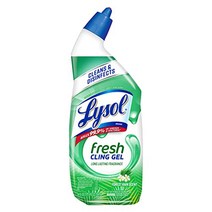 Lysol Toilet Bowl Cleaner Gel For Cleaning and Disinfecting Stain Removal Forest Rain Scent 24oz, 1