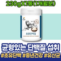 남자친구 단백질영양제 권장 여성 검사 머슬 노인단백질보충제 WPI 얼굴살 생신선물 호르몬 로이신 성인분유 청소년 WPCWPI 남성 항균 홈트레이닝 가성비 포우먼 패밀리 성인 IgE
