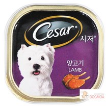 물잘안먹는 애견 수분보충 캔간식 24개 이약한애견 개캔간식 밥안먹을때 애견간식