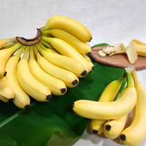 경남 산청 국내산 바나나 1.5kg