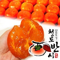 [청년농부] 청도반시 고당도 씨없는 홍시 프리미엄 선물용 가정용 효도선물, 씨없는 청도반시 5kg [소과] 46~50과 내외