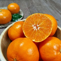 제주 고당도 레드향 가정용 실속선물세트 3kg 5kg 산지직송, 5kg 소과 (25-35과)