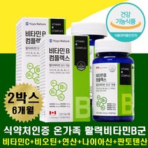 비타민B군 영양제 B1 B2 B6 B12 메틸코발라민 비타민C 에너지 활력 충전 스테미너 환절기 입속병 피곤 지칠때 영양제 항산화 비타민씨 아스코르브산 비타민비 8종 판토텐산 비오틴