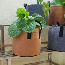 부직포 화분 베란다 텃밭 대파 키우기 5갤런 30x25, 1화분5갤런-블랙