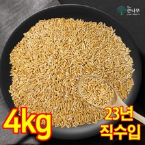 터키 호라산밀 수입사 직판 착한 탄수화물, 터키 호라산밀 4kg