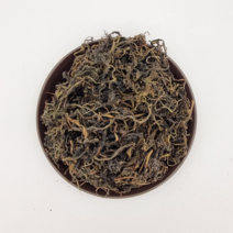 건민들레 중국산 1kg