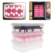 파충류 알 부화기 디지털 자동부화기 인큐베이터 테라리움 reptile eggincubator 14 슬롯 전문 투명 커버 도마뱀 뱀 도마뱀 계란 해처 해칭 상자 케이스 트레이, 다크 카키