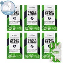 프롬바이오 관절연골엔 보스웰리아 + 씨오케이마스크 증정, 6box, 850mg
