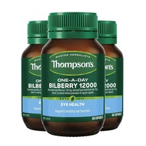 호주 톰슨 원어데이 빌베리 12000mg 60캡슐 3팩 THOMPSONS BILBERRY