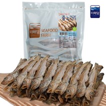 동해바다 집나간 줄노가리 40미, 999