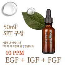 에코문 EGF+FGF+IGF 10ppm 3EA세트-50ml 원액 앰플 에센스, 1개, 50ml