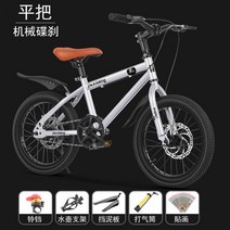 프리미엄자전거 경량자전거 어린이 자전거 초등학생 산악자전거 보조바퀴 16인치 18인치, 20인치, 실버