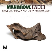 자연과사람 맹그로브 유목 (중)