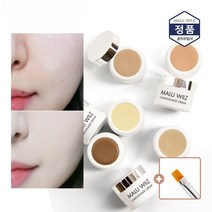 마루빌츠 케머플라지 크림 컨실러 + 컨실러브러쉬 / 기미 잡티 다크 홍조 방수 컨실러, 12호 그린베이지, 1개