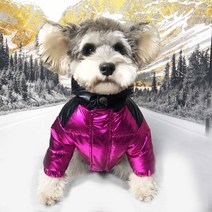 강아지 의류 패딩 소형견 중형견 디자이너 애완견 의류 겨울용 따뜻하고 두꺼운 스와아날 벨벳 강아지 재, 02 빨간_02 M
