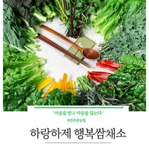 GAP]계절을담다 15종이상 모듬샐러드 쌈채소 700g