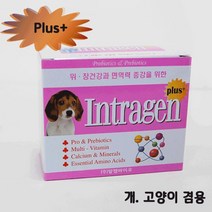 위장건강 강아지 고양이 유산균 영양제 섞어주는 잘먹는 수술견 추천