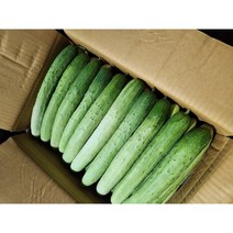 못난이 백오이 백다다기 10kg, 1개