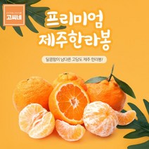 고씨네 프리미엄 한라봉3kg 천혜향 한라봉 레드향레드향 천혜향 한라봉 제주한라봉 제주천혜향 한라봉제철 제주도한라봉 제주레드향 제주도레드향 천혜향제철, 본상품, free