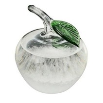 [잇템]1PCS Transparent Glass Storm Water Drop Storm Forecast Monitor Bottle Barometer Decoration Wea, 01 apple