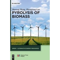 Pyrolysis of Biomass Hardcover, de Gruyter, English, 9783110374575