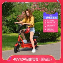 전동킥보드 경량전기킥보드 출퇴근킥보드 왕발통 성인전동킥보드 듀얼전동킥보드 수입전동킥보드 전동스쿠터 출퇴근스쿠터, 옵션9 48V