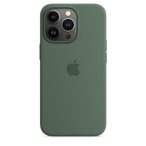 Apple 정품 아이폰 맥세이프 실리콘 케이스