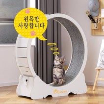 런캣 무소음 간단 설치 원목 캣휠 고양이캣휠, M(91*36*98), 자가 조립, 아이보리, M(91*36*98)