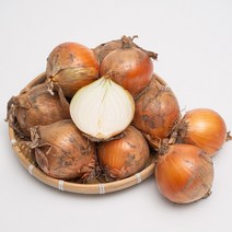 세상모든농부 신선한 국산 햇 양파, 양파 10kg 중소
