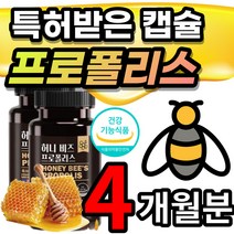 [식약청 인정] 올인원 허니 꿀 꿀벌 비 벌집 프로폴리스 프로플러스 폴라폴리스 플로폴리스 프로폴리 폴리폴리스 플라보노이드 추출물 아연 셀렌 환절기 면역 항산화 도움 특허 캡슐 추천, 4개월 / 60캡슐x2개 +사은품
