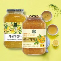 오너클랜 [녹차원] 과일차세트 레몬생강차1KG+꿀유자차1kg, 1