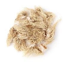 동의한재 국산 파뿌리 3kg 총백 대파뿌리, 단품