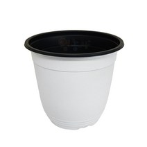 이색화분 흰색 15호, 단품, 1개