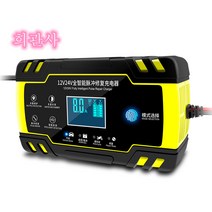 자동차배터리충전기 배터리재생기 과열방지 12V 24V Esyuse 증정