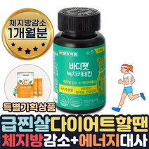 효과좋은 단기간 다이어트 필요할때 피하지방 내장지방 살빠지는 체지방분해 도움 식약처인증 녹차추출물 카테킨 보조제 약 1달치 살빼는 허벅지살 얼굴살 팔뚝살 허리 빼는법 줄이는법 도움, 1개월분+비타민C