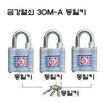 금강30A 동일 개별키 열쇠 자물쇠 소형 사물함 아파트배전반 키하나로관리 산업 오성 송파구 문정동, 동일키