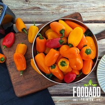 알록달록 푸드에드 미니파프리카 국내산(500g), 1개