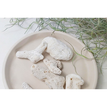 비밀의 화원 마다가스카르 쟈스민, 산호석 3p, 1개