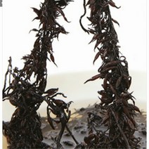 완도 건톳 500g 톳요리 톳효능 건조 가루 생톳 마른 감태김치 말린톳요리, 1개