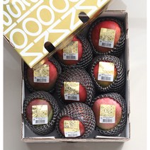 [항공수입제품] 프리미엄 애플망고 항공수입 망고 선물세트, 프리미엄 애플망고 실속형 특 8~10과, 1박스