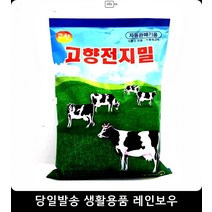타먹는 우유 분말차 자판기용 전지밀 심신안정차 바쁜직장인한잔 전통차 차음료, 고향 전지밀1000g